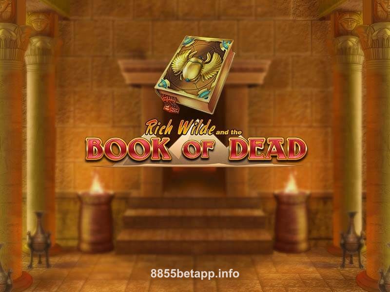 Imagem do jogo Book of Dead no 8855bet